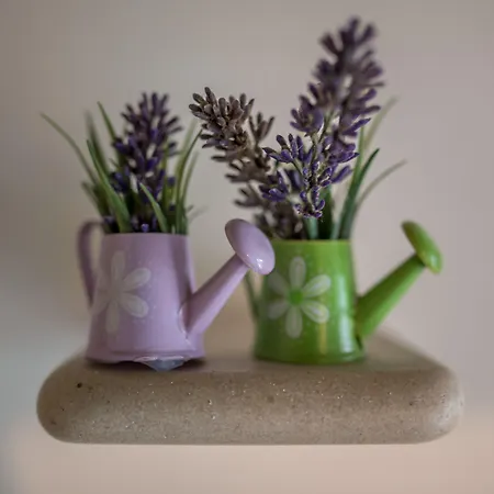 Garden 스플리트
